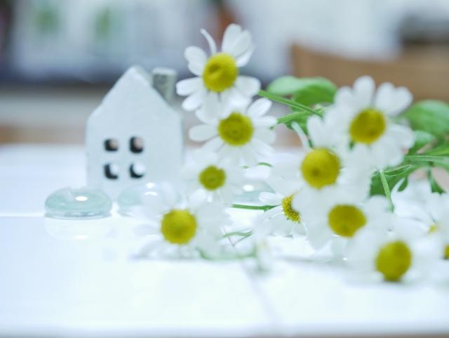 小さな家の模型と白い花