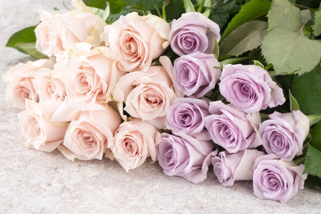 ピンクと薄紫のバラの花束